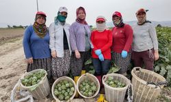 Efeler'in başrolünde kadın var :Başkan Anıl Yetişkin ile aydınlık yarınlara