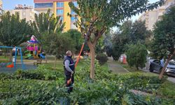 Başkan Anıl Yetişkin'den seferberlik