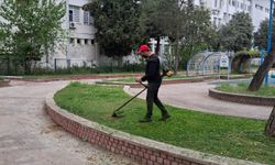 Başkan Yetişkin'le Efeler'de bahar temizliği seferberliğe dönüştü