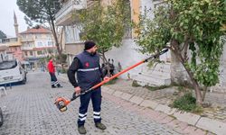 Efeler'in tarihi mirası Başkan Yetişkin ile korunuyor