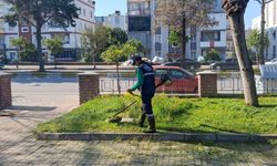 Efeler'in yeşil alanlarında bakım çalışmaları devam ediyor