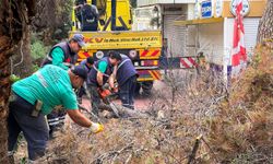 Efeler Belediyesi'nin ekipleri çalışıyor