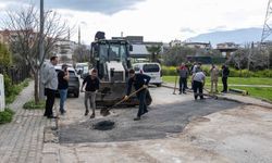 Bornova'da yol seferberliği