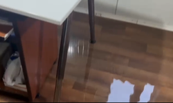 Hatay'da konteyner merkez su altında kaldı