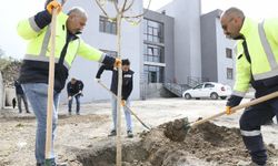 Çiğli Belediyesi'nden Cemevi ve ibadethanelere destek