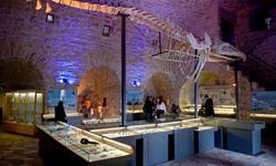 Deniz Ticaret Tarihi Sevgi Alanı'na yılın ilk çeyreğinde yoğun ilgi