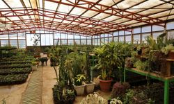 Milyonluk tasarrufun adresi: Marmaris