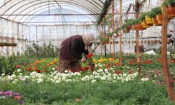 Muğla’da üretici kadınlar meclisi kuruluyor