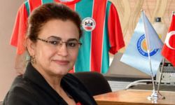 Sınırdan gelen yorgun mermi profesörü yaraladı