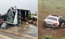 Koyun yüklü kamyonet kazası: 2 ölü