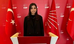 CHP'li Akçaalan: "Pahalılığın sorumlusu AKP'dir"