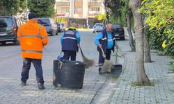 "Efeler'in her sokağı bizim evimiz.."