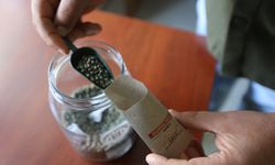 Muğla’nın ata tohumları ülke toprakları ile Buluşuyor