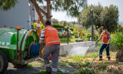 Güzelçamlı'dan Kuştur'a kıyı şeridine yoğun mesai