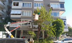 Efelerde kapsamlı bakım çalışmaları sürüyor