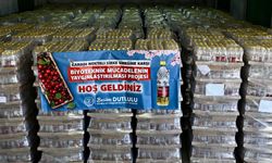 Manisa Büyükşehir’den Üreticiye Dev Destek