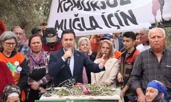 Ahmet Aras’tan Akbelen çağrısı!