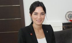AKP’li vekil Sarıbaş’ın oğlu hakkında silah iddiası