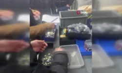 350 kilo altına soruşturma : 44 şüpheliye iddianame