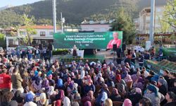 Merkezefendi'de tarıma destek sürüyor...