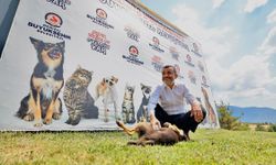 Denizli Büyükşehir’den sokak hayvanlarına çözüm hamlesi
