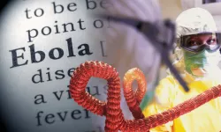 Ebola salgını Kongo’da yayılıyor: 131 can kaybı
