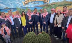 Urla'da Enginar Festivali Başladı