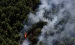 Fethiye’de Orman Yangınına Müdahale Sürüyor
