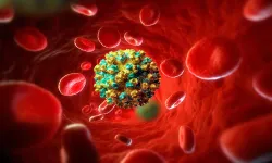 Almanya'da Hepatit A virüsü alarmı