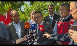 Ege’nin bereketli topraklarında “altın hasat” başladı…