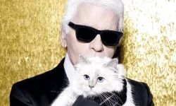 Lagerfeld’in kedisi mirasını 7 yıldır alamadı