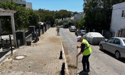 Bodrum'da ot temizliği devam ediyor