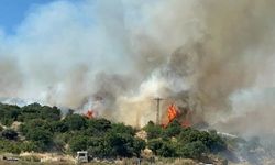 Çanakkale'de Orman Yangınına Havadan ve Karadan Müdahale