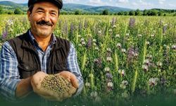 Çavuşoğlu: “Üreticimiz kazanacak”