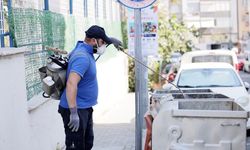 Balçova'da haşerelere kapsamlı mücadele