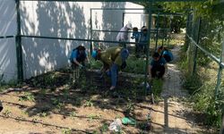 Öğrenciler kendi bitkilerini yetiştirecek