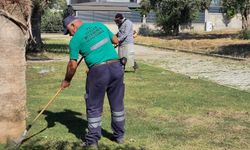 Efeler'in Yeşil Alanlarında Yaz Temizliği