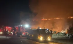 Bodrum’da çıkan yangın korkuttu