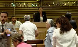 CHP'li iki meclis üyesine 15 Temmuz soruşturması