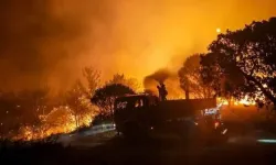 Gömeç'teki orman yangınının nedeni belli oldu