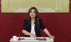 DEM Parti'den çerçeve yasa taslağı açıklaması