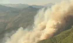 Muğla Seydikemer'de orman yangını