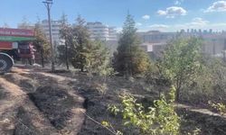 ODTÜ Ormanı'ndaki yangın büyümeden söndürüldü