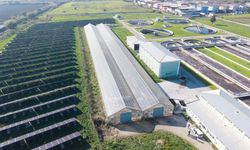 Arıtma Çamuru Enerjiye Dönüşüyor