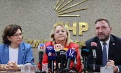 ‘Sistem kendi vatandaşını korumadığı gibi her canın ölümünden devlet sorumludur’
