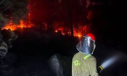 Balıkesir’de 6 bin 733 hektar alan zarar gördü