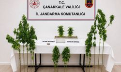 Çanakkale’de 3 ilçede uyuştur*cu operasyonu