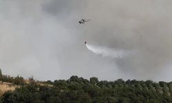 Gömeç'teki orman yangını 4. gününde
