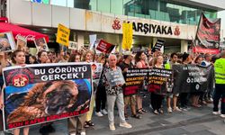 “Katliam yasası”nın ikinci yılı protesto edildi