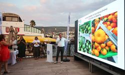 Yeşil Bodrum mandalini sektör buluşması